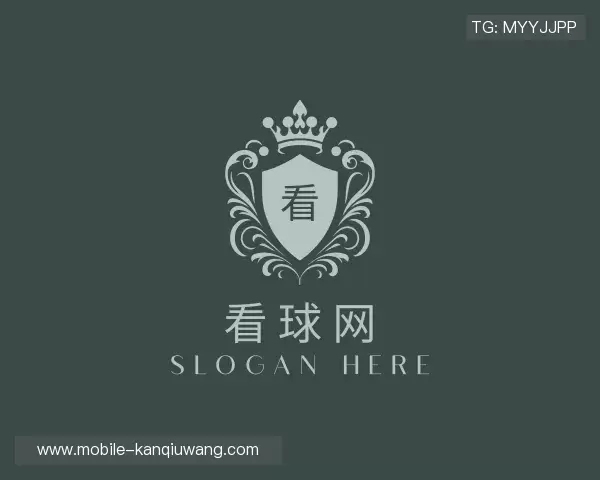 介绍看球网